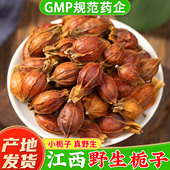 江西野生栀子中药材官方旗舰店正品 黄栀子果栀子茶 山栀子泡水喝