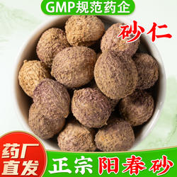 正宗阳春春砂仁中药材官方旗舰店正品  砂仁果沙仁中药材 砂仁粉
