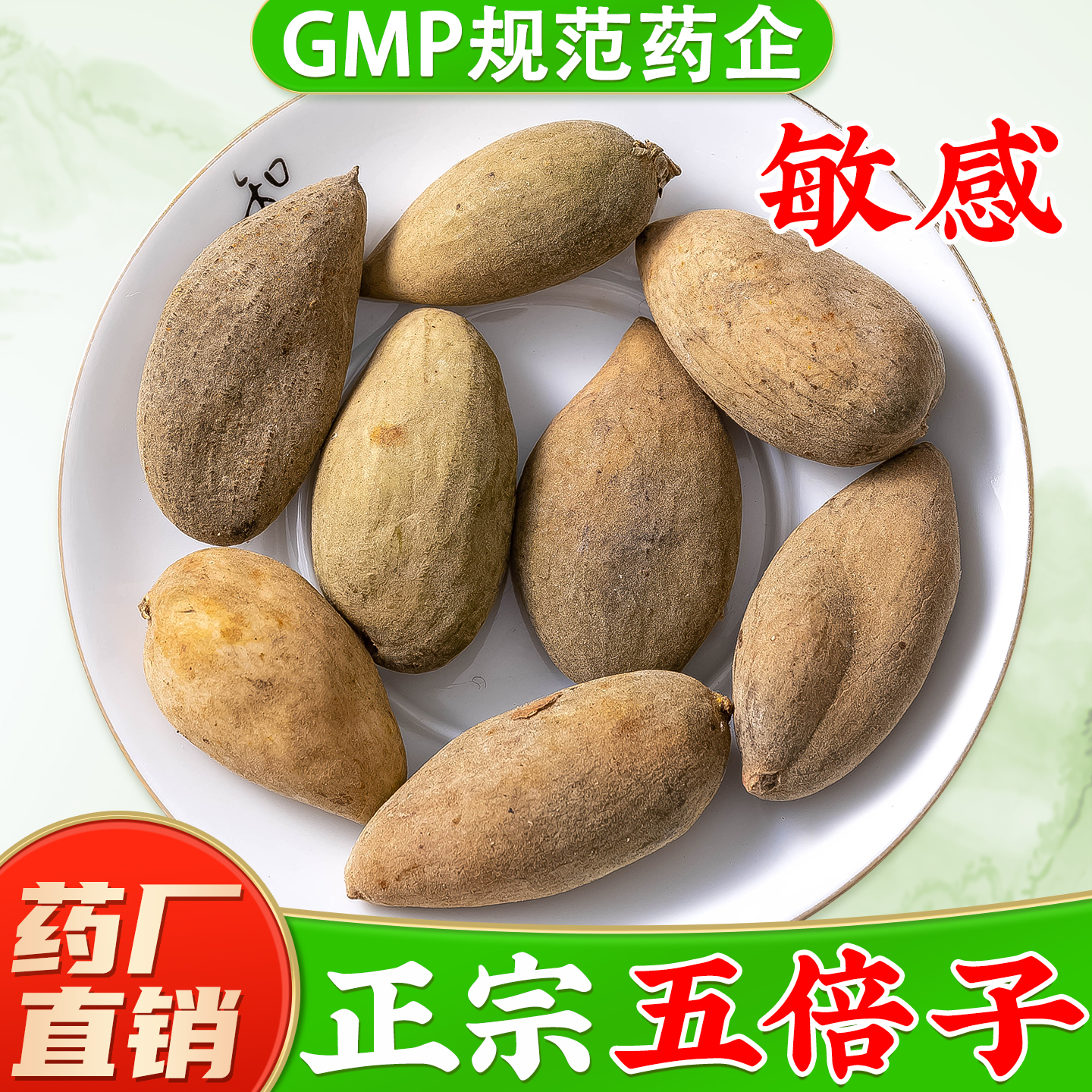 野生大果五倍子中药材药厂直销