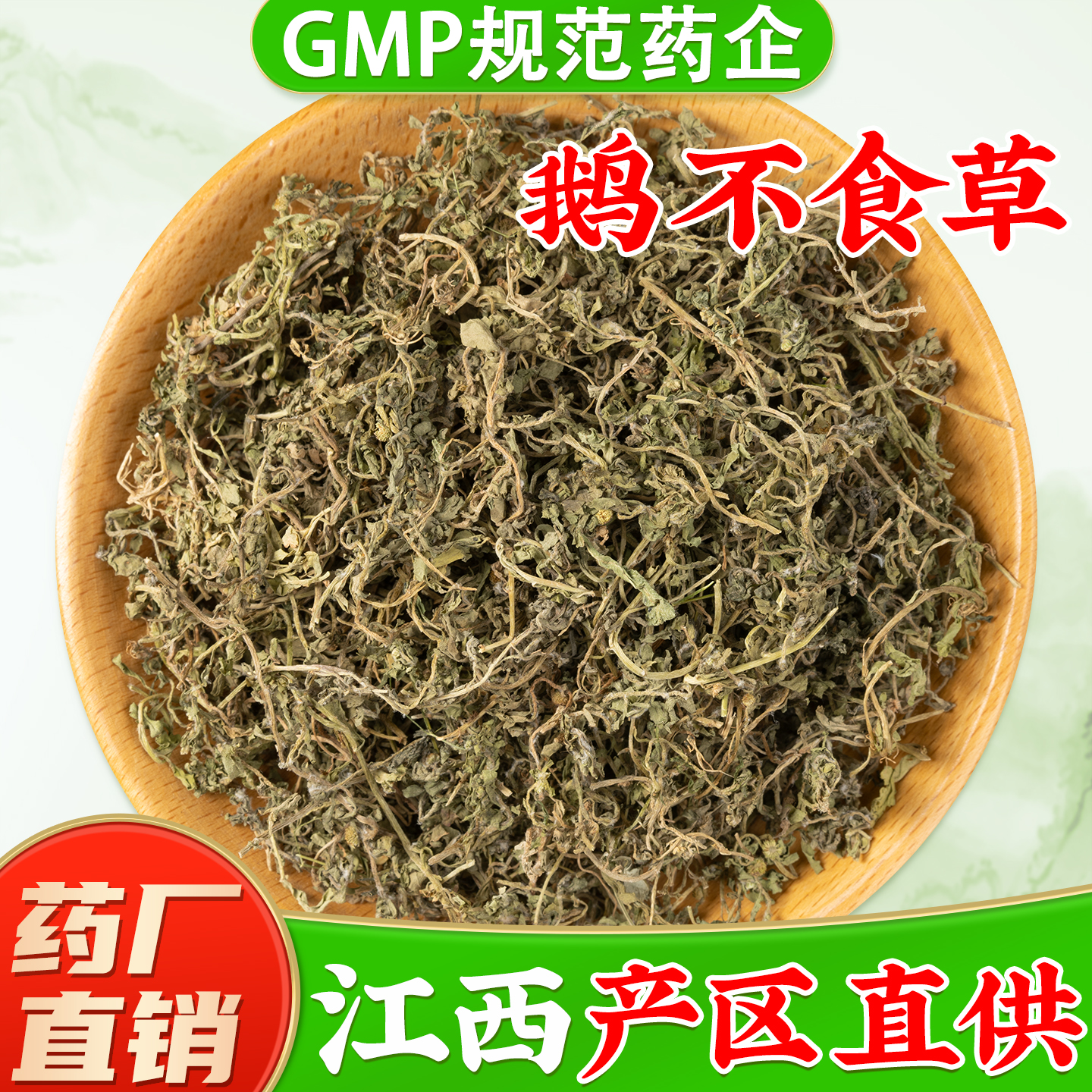 【野生鹅不食草中药材】药厂直销