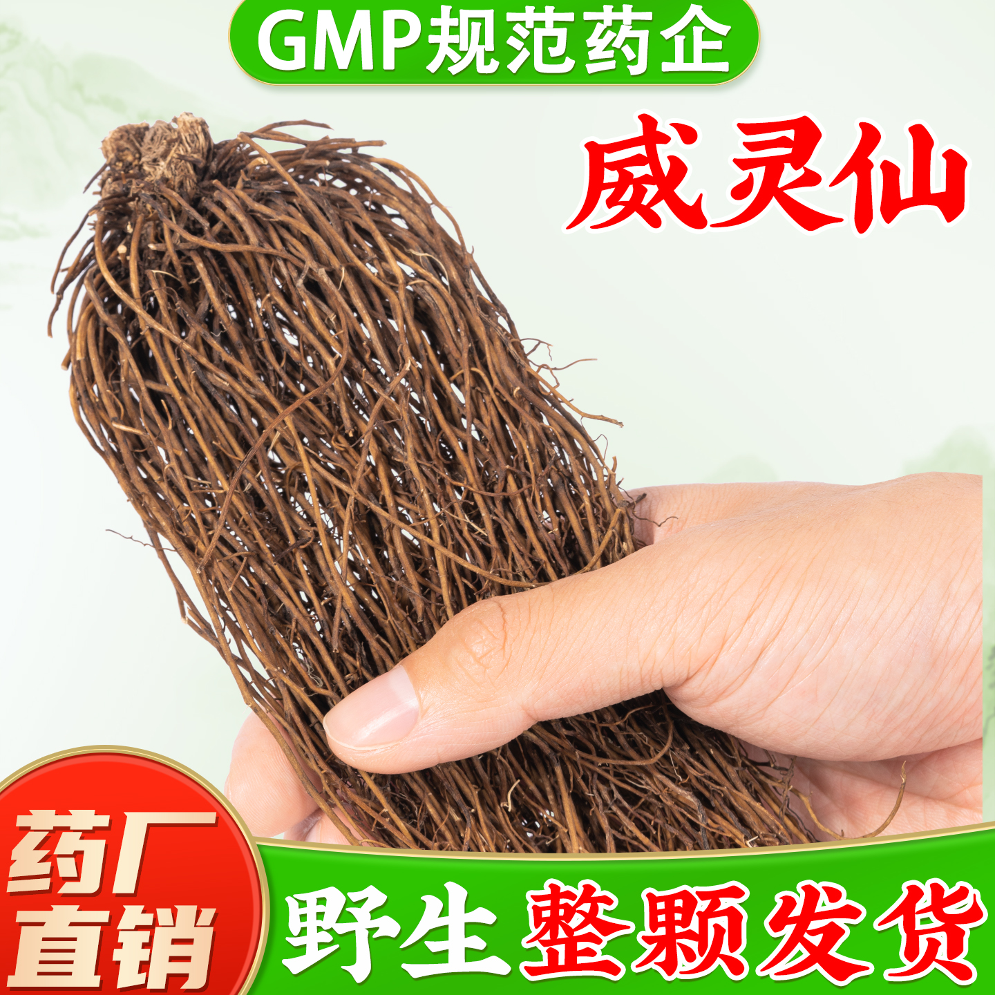 【野生威灵仙中药材】药厂直销