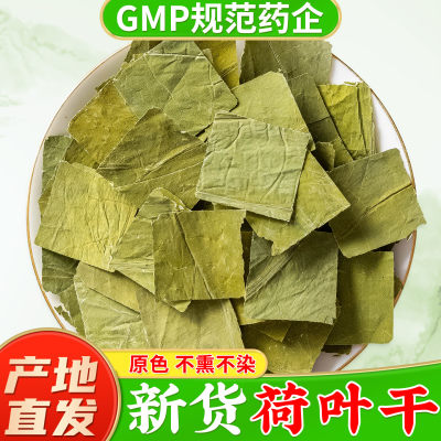 微山湖荷叶片500克野生新鲜