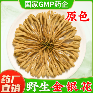 正品 官方旗舰店特级胖大海菊花胎菊泡茶泡水 野生金银花中药材正品