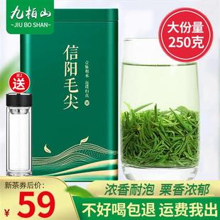 毛尖绿茶信阳毛尖2023新茶雨前高山嫩芽250g浓香耐泡型春茶叶