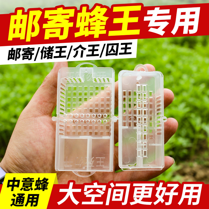 邮寄蜂王专用王笼储王器双仓塑料多功能关扣峰王养蜂工具蜂大哥
