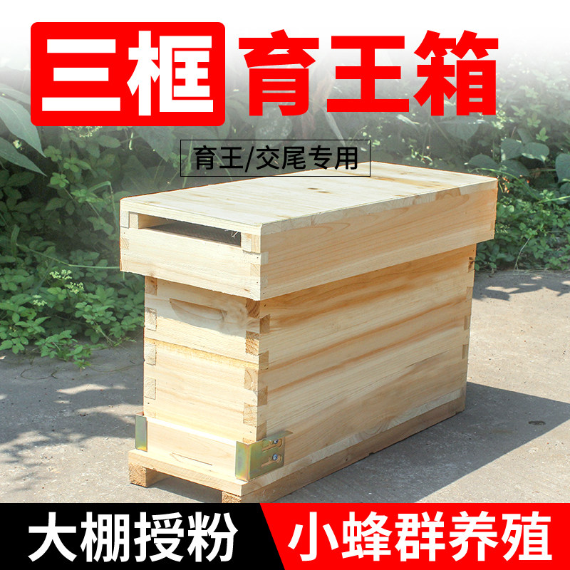 蜜蜂交尾箱三框育王箱 杉木蜂箱烘干不煮蜡育王产卵迷你小型蜂箱