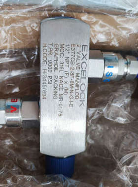 议价-EXCELOCK二阀组，E377CB-2-8F-8M-N-G