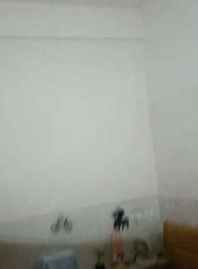 议价-SCANGRIP 智能LED工作灯，型号OPTI Light