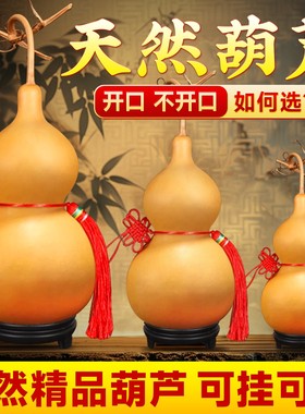 葫芦天然大号摆件门对门挂件特大开口带龙头天然葫芦客厅真木葫芦