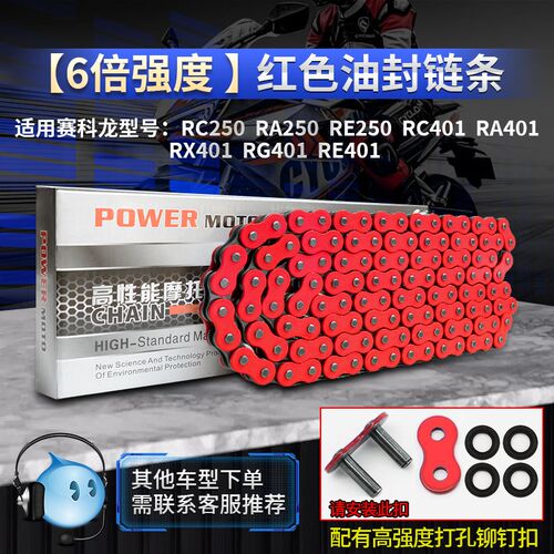 赛科龙RC/RE/RG/RX/RZ/RA250 401 560摩托静音油封链条RK