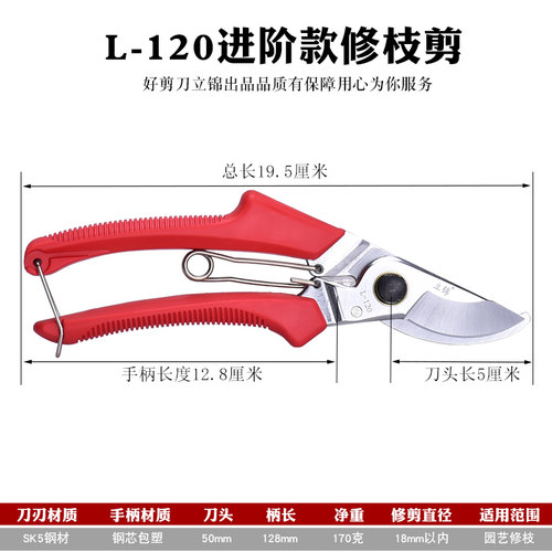 园林修剪工具花园剪子剪枝剪 修枝剪园艺剪果树剪树枝修枝剪刀130