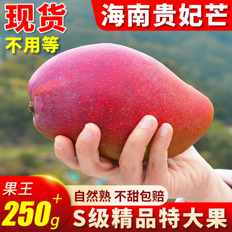 正宗大 贵妃芒9斤果王自然熟新鲜芒果海当季水果台金青甜整箱包邮