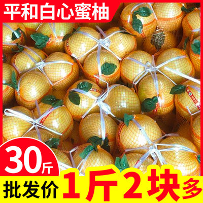 现货闪发！平和白心蜜柚30斤包邮