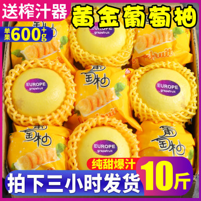 现货新鲜爆汁黄金葡萄柚单果600g