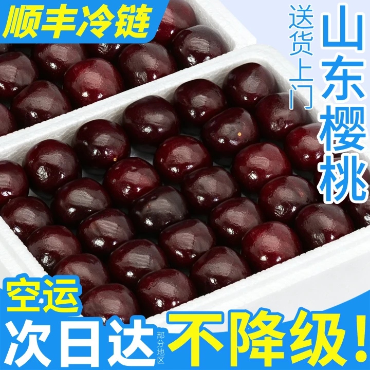 【现货空运】山东美早大樱桃4J