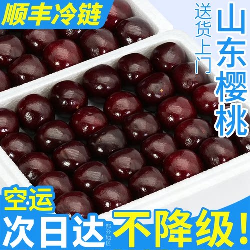 【现货空运】山东美早大樱桃4J