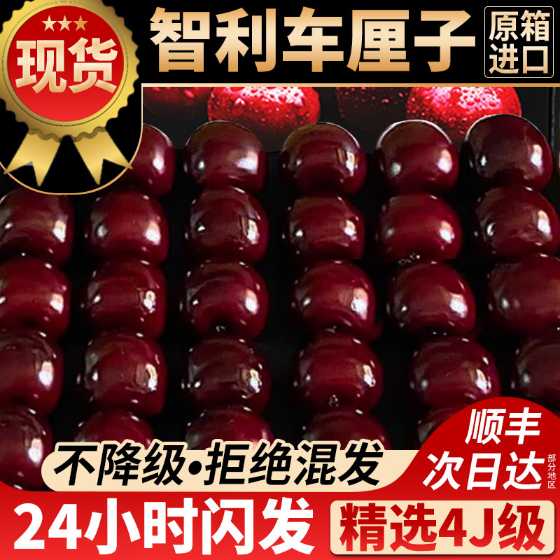 现货5斤 礼盒装智利车厘子4j大樱桃黑珍珠新鲜水果顺丰桑提娜原箱