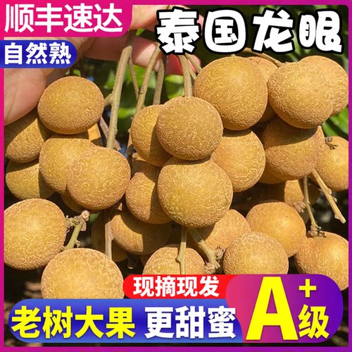顺丰A+老树果净重9斤泰国龙眼