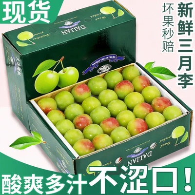 【top热卖！】现货云南三月李