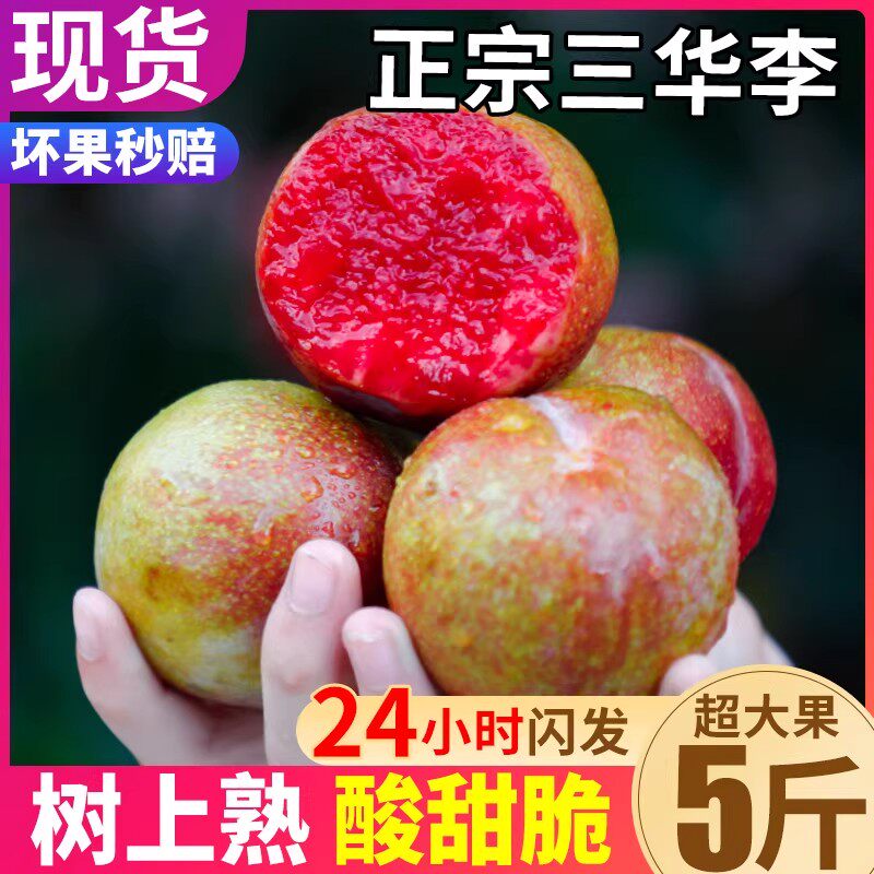 现货 5斤红心三华李新鲜现摘脆甜李子三月水果应季孕妇整箱包邮