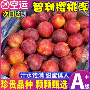 顺丰空运智利樱桃李5斤李子超甜樱桃枣蜜李进口当季新鲜时令水果