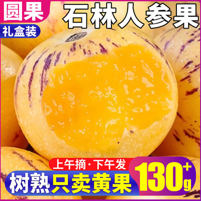 中秋礼盒自然熟黄果，单果200g+