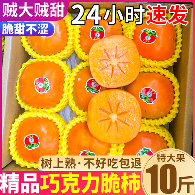 10斤精品巧克力脆柿|精选特大果6