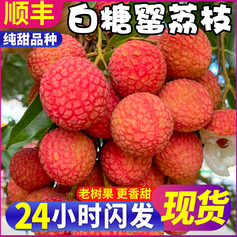 顺丰白糖罂荔枝新鲜现摘现发5斤广东老树妃子桂当季水果整箱包邮3