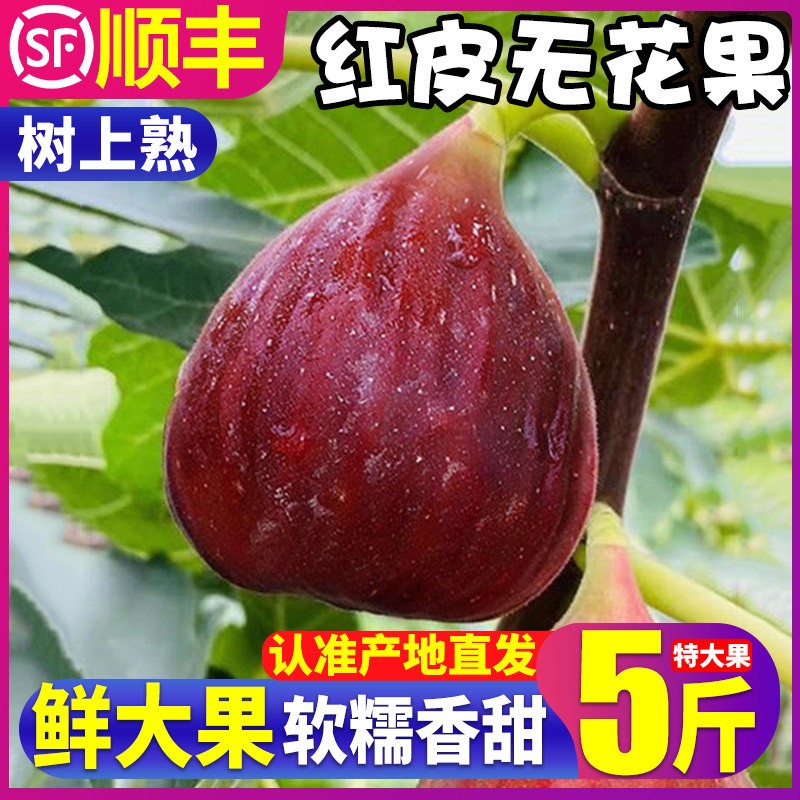 顺丰 红皮无花果鲜果新鲜现摘发树上熟当季水果非青皮整箱包邮