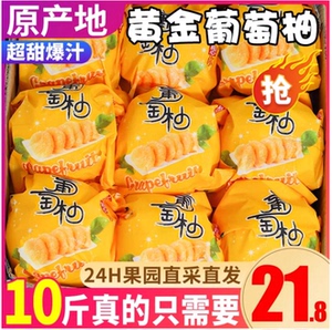 福建平和黄金葡萄柚新鲜水果柚子黄肉爆汁甜蜜20斤整箱顺丰包邮