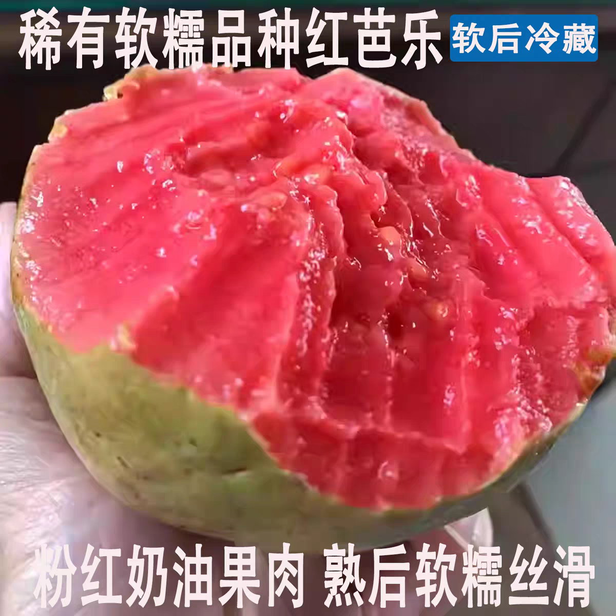 福建奶油红心芭乐果台湾软香奶油番石榴新鲜水果当季现摘低糖健身