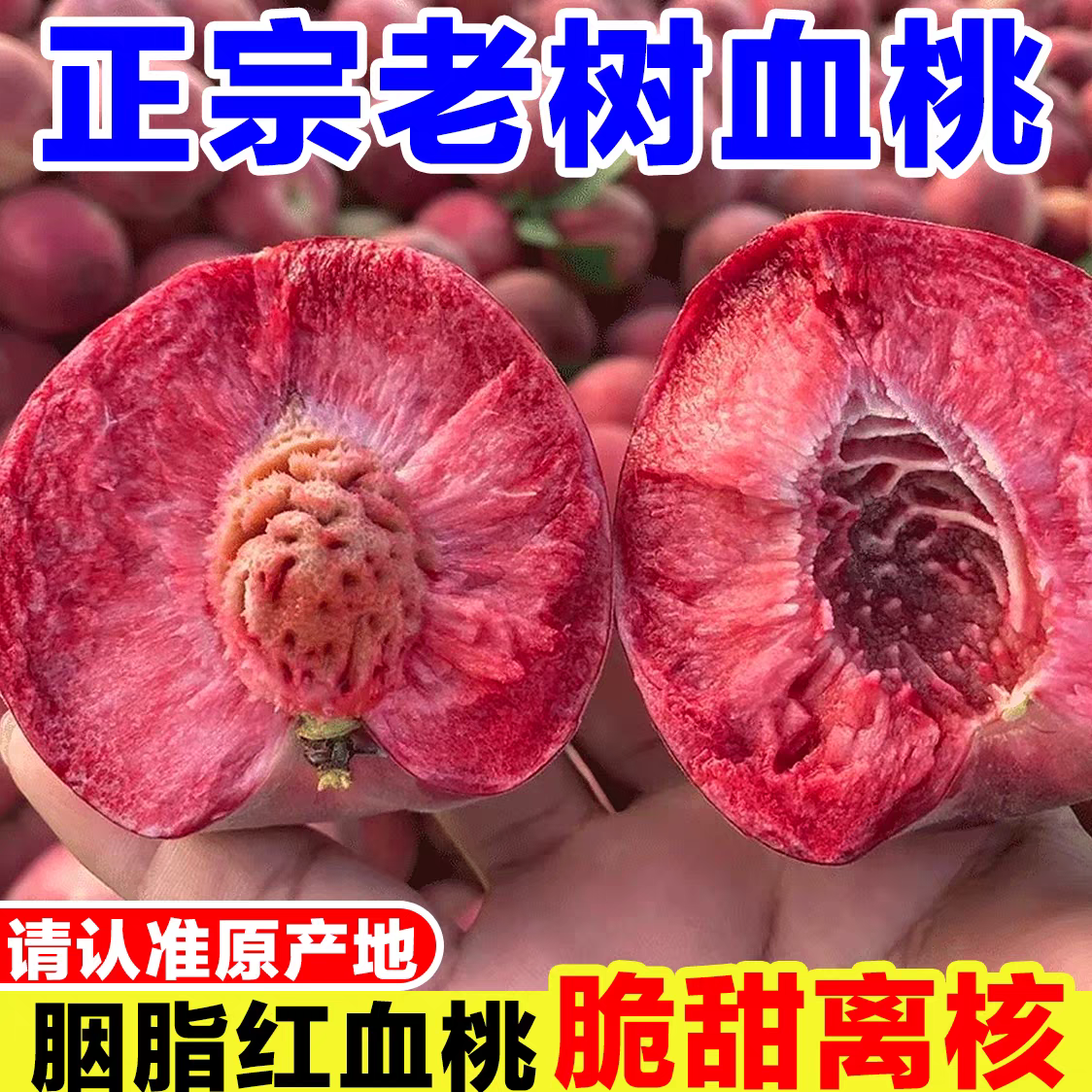 正宗胭脂红血桃新鲜水果当季现摘现发血桃脆甜毛桃桃子广水整箱