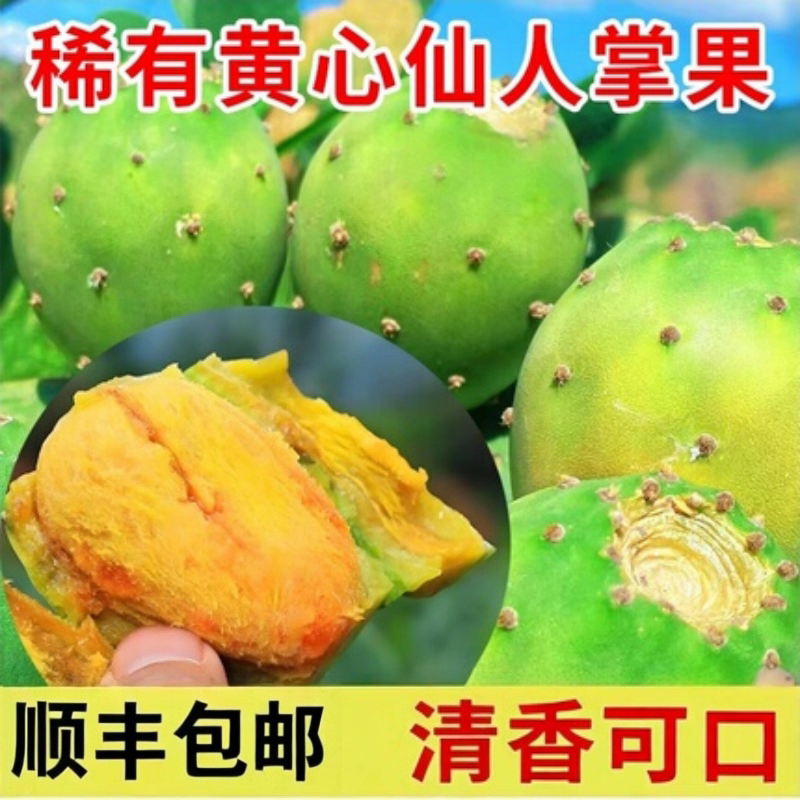 顺丰稀有黄心仙人掌果黄心仙桃新鲜水果实时令不常见可榨汁食用