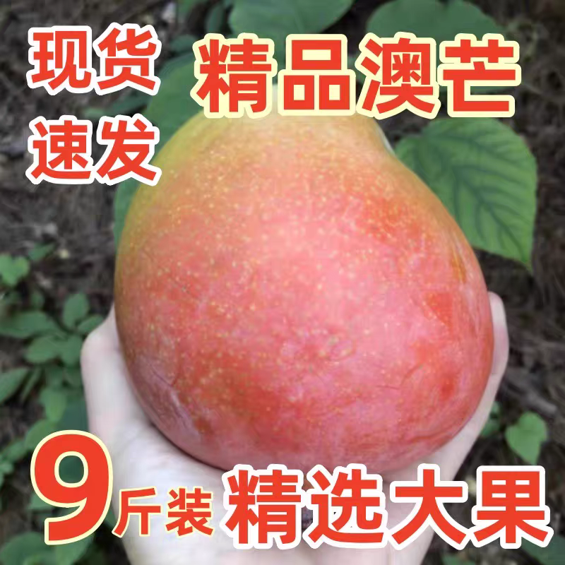 正宗苹果芒澳芒新鲜水果当季现摘现发芒果超大果礼盒