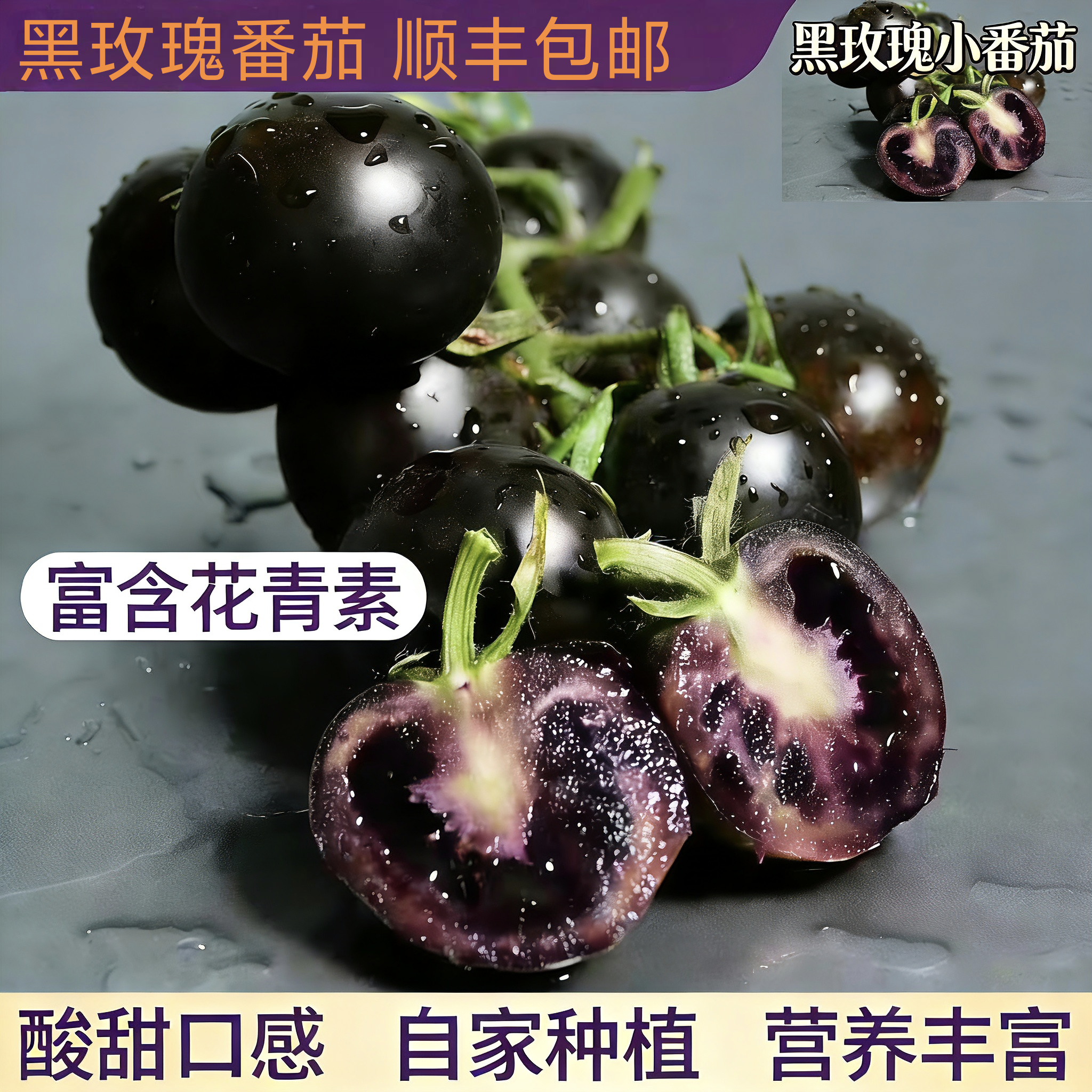 顺丰包邮黑玫瑰小番茄黑紫色圣女果即食新鲜水果现摘含花青素美颜
