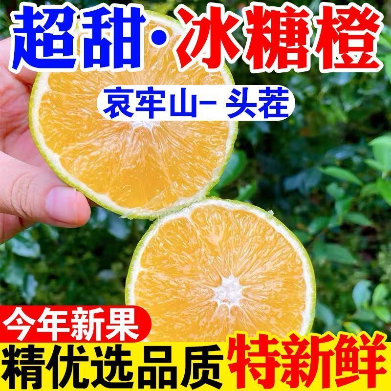正宗云南哀牢山冰糖橙新鲜水果当季现摘冰糖橙子褚橙同款手撕甜橙