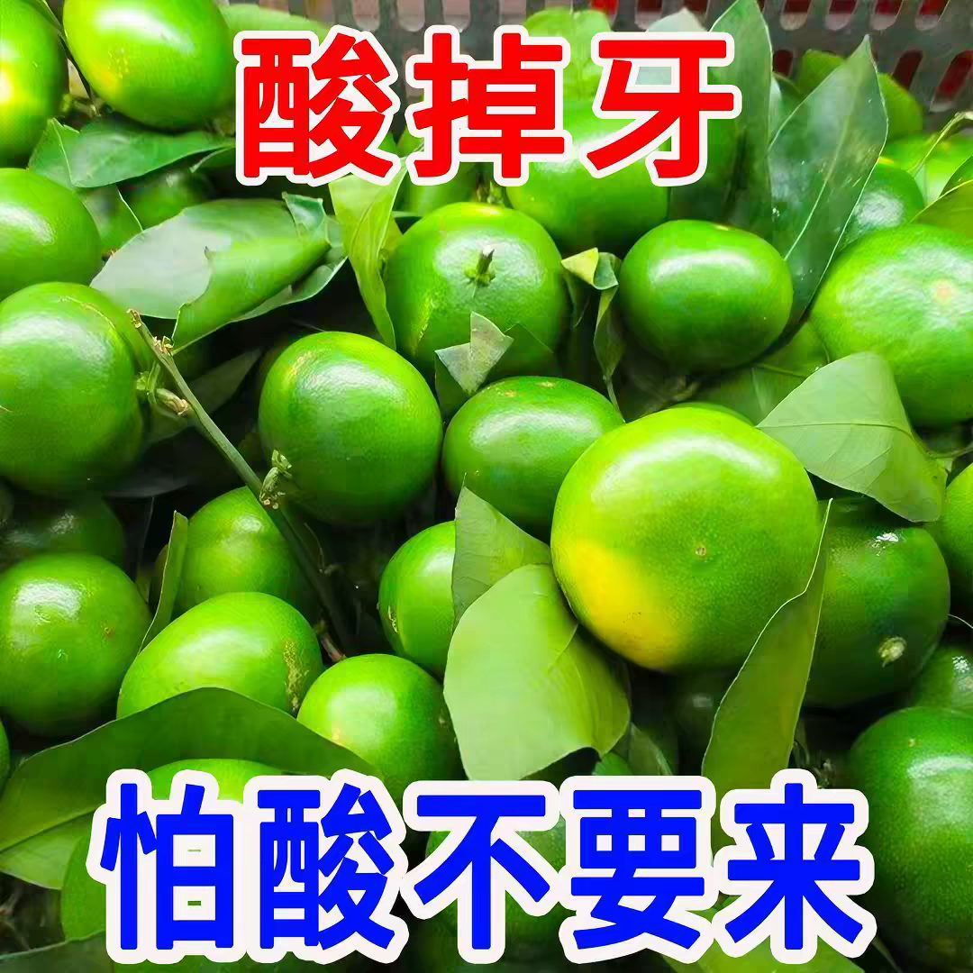 新现摘青皮酸蜜桔青皮蜜橘当季水果酸甜橘子孕妇水果鲜嫩酸橘5斤