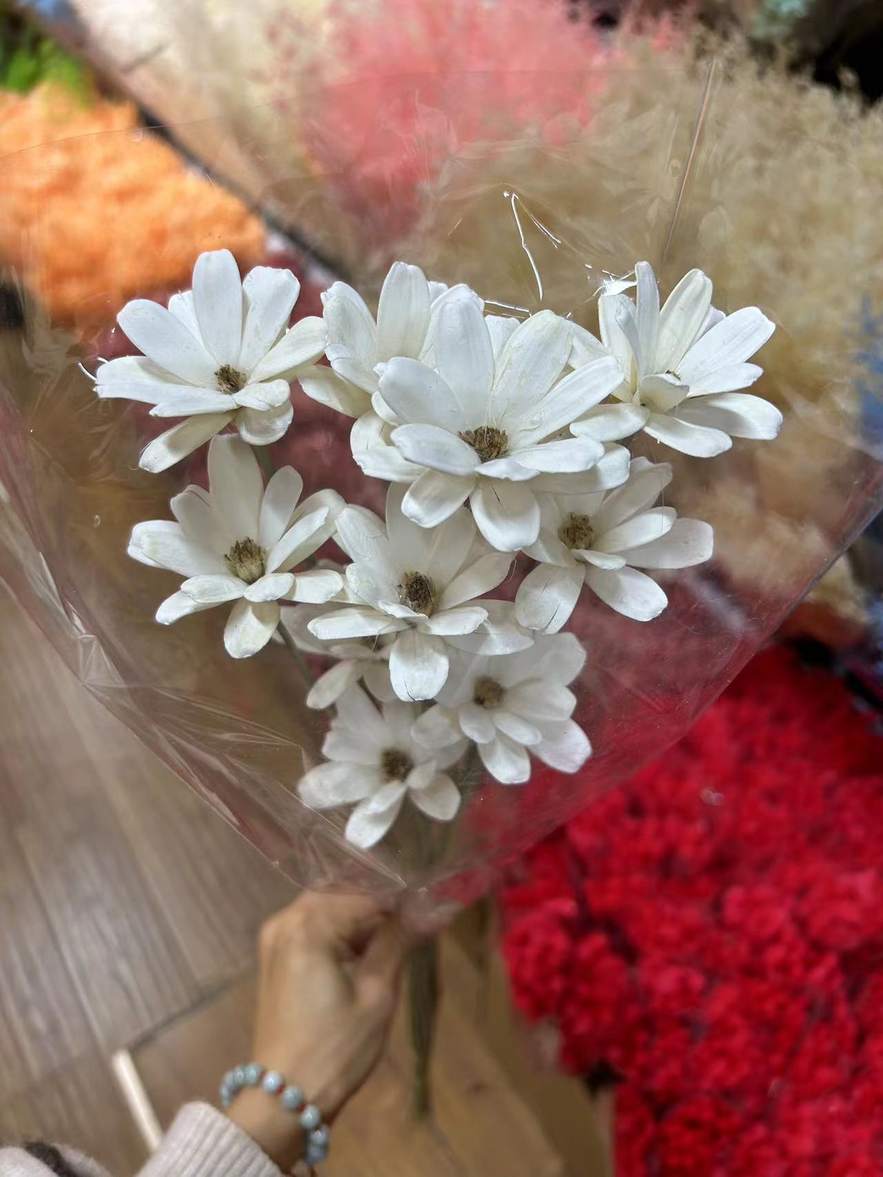 瓜籽花干花永生花瓜籽花手工干花小清新花束插花手工造型DIY摆件