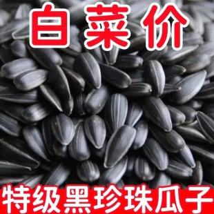 新货油葵黑珍珠瓜子500g油葵小瓜子现炒熟原味生葵花籽小油葵种籽