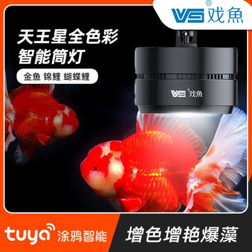 戏鱼天王星自然红涂鸦智能筒灯
