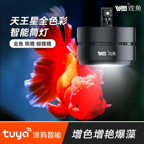 戏鱼COB加深红涂鸦APP智能鱼灯