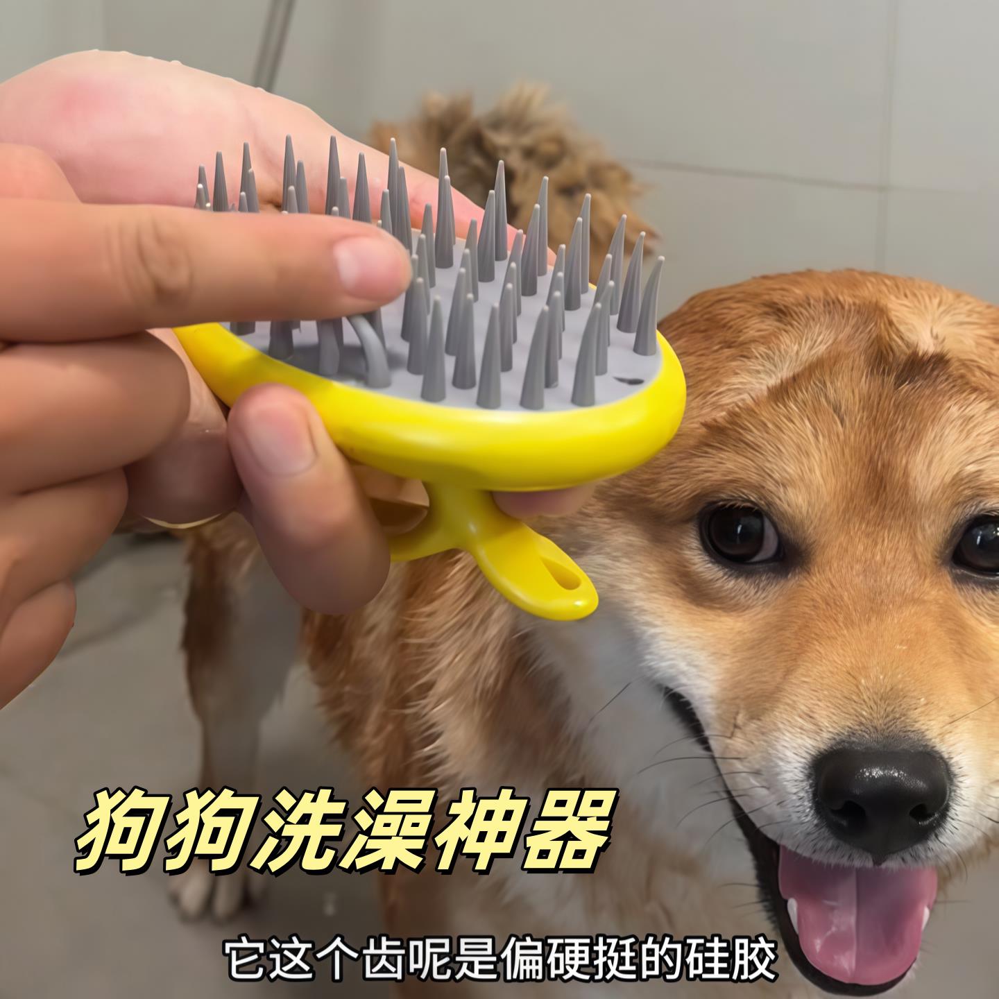 洗澡刷子起泡器猫咪搓澡沐浴刷狗狗硅胶宠物专用品好物适用小排梳