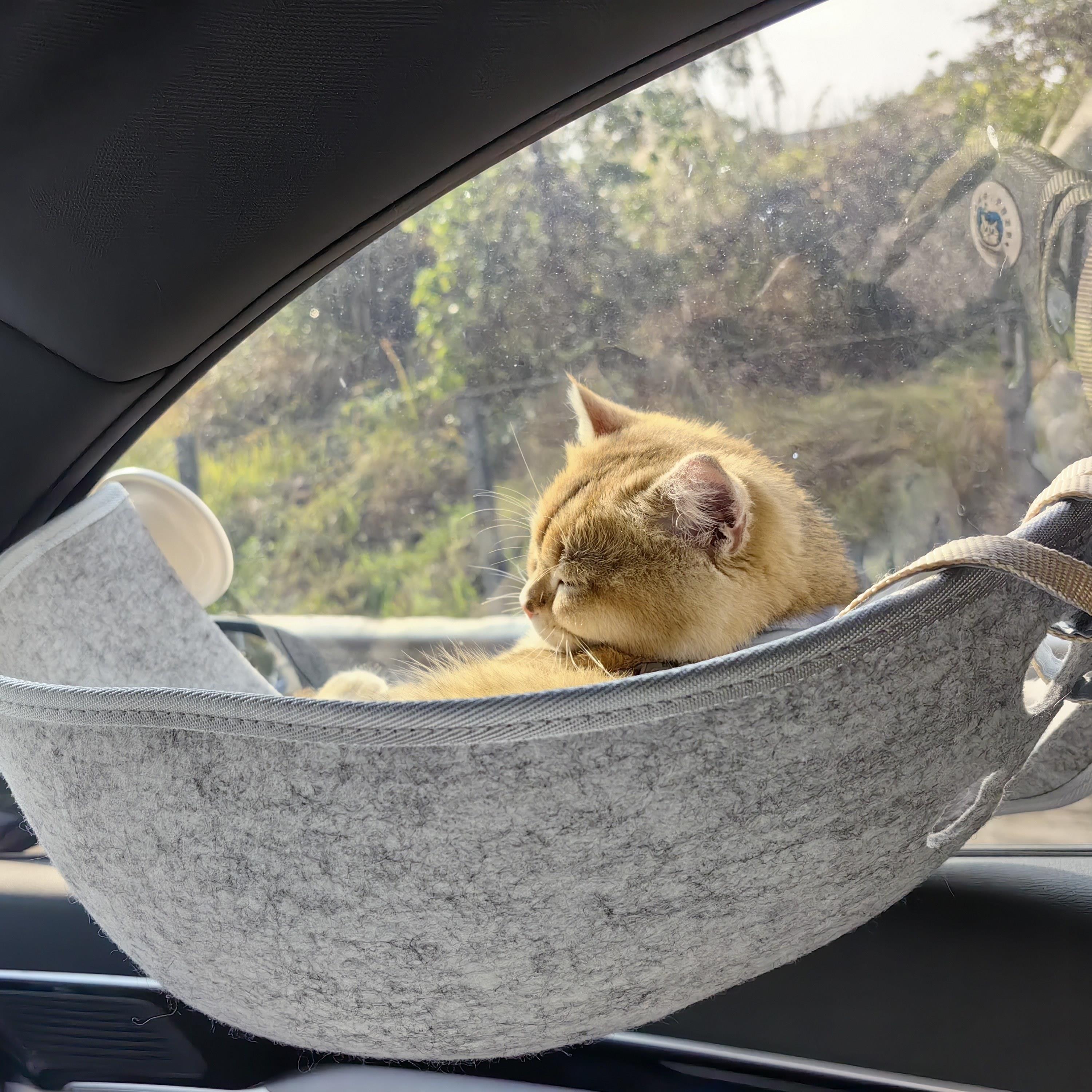猫吊床窗户吸盘猫窝空中别墅晒太阳车载便携猫窝猫咪宠物吊床车载