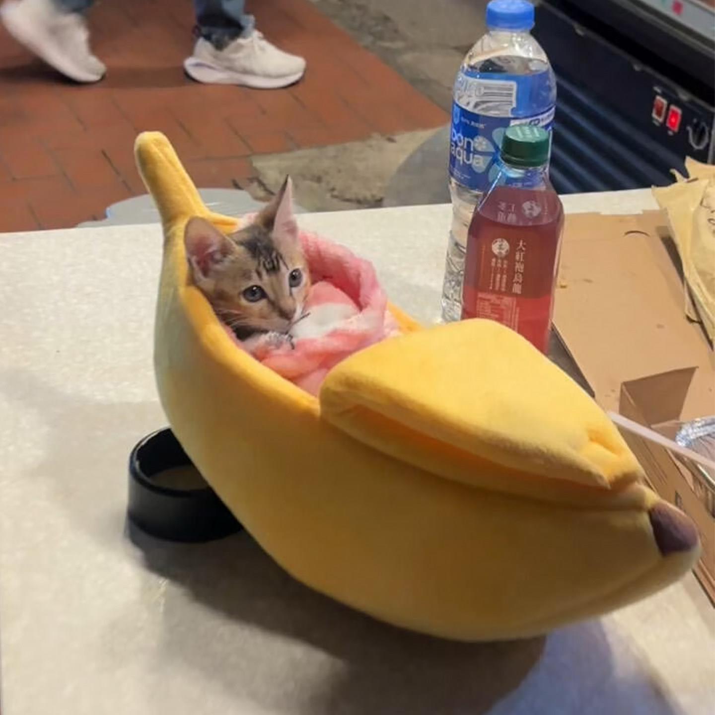 香蕉船猫窝四季通用半封闭式安全感猫咪睡窝小型犬比熊泰迪狗窝