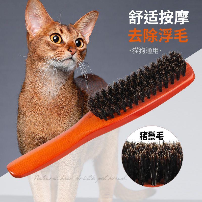 猫咪梳毛专用梳子去浮毛猪鬃毛梳宠物短毛狗狗梳子毛发清理开结刷