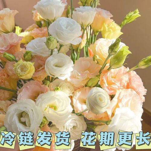 洋桔梗鲜花无刺玫瑰超长花期
