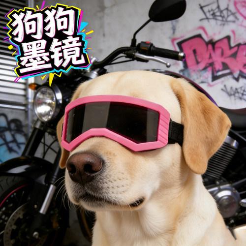拉布拉多专用狗狗护目镜墨镜小狗眼镜防风镜大型犬配饰宠物头饰