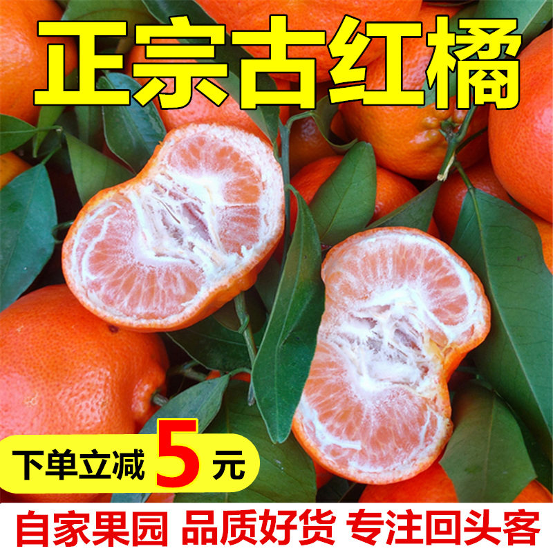 重庆万州古红桔正宗川红橘小柑孕妇新鲜水果大红袍柑子陈皮原料