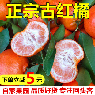 重庆万州古红桔正宗川红橘小柑孕妇新鲜水果大红袍柑子陈皮原料