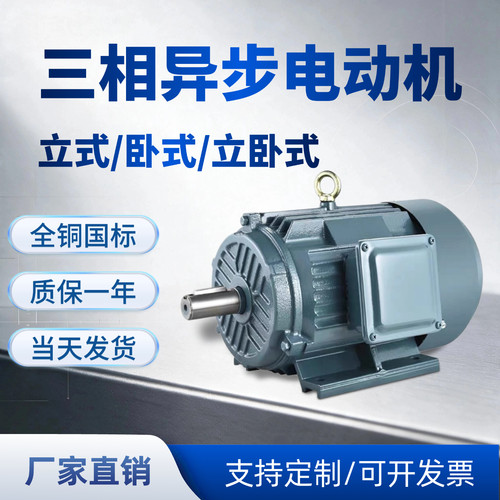三相异步电机YE3-90S-6 0.75KW380V910转立式/卧式/立卧式全铜芯